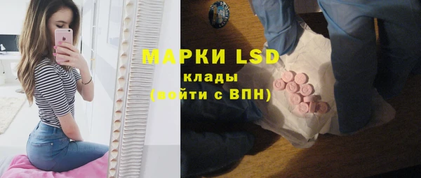 дурь Няндома