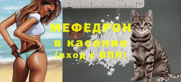 гашик Новодвинск
