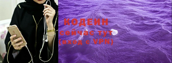 гашик Новодвинск