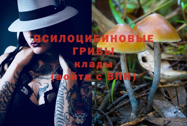 гашик Новодвинск