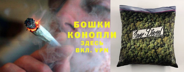 гашик Новодвинск