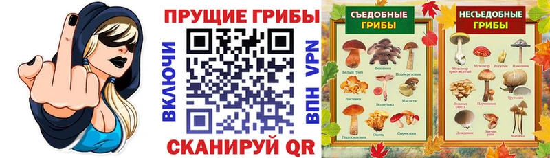 mega ссылка  купить  цена  площадка как зайти  Галлюциногенные грибы мухоморы  Нелидово 
